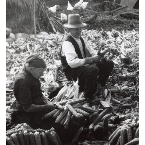 Nagyobb méret, Szendrő István fotóművészeti alkotása, kukoricafosztás a tanyán, népviselet, néprajz, udvar, 1930-as évek. Eredeti, pecséttel jelzett fotó, papírkép. Dekorációnak, ajándéknak is kiváló.