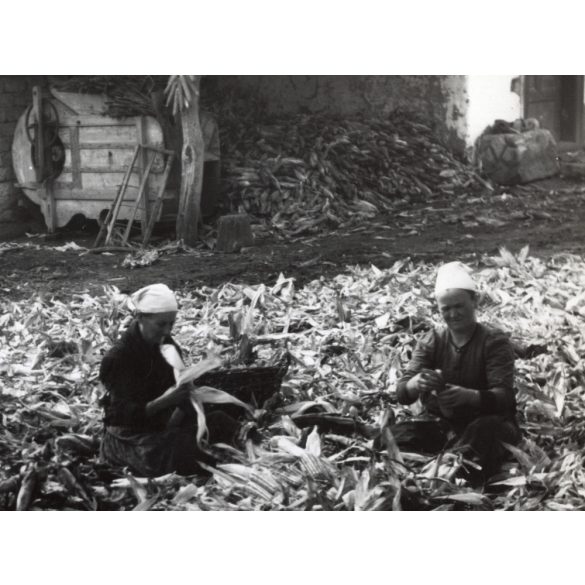 Nagyobb méret, Szendrő István fotóművészeti alkotása, kukoricafosztás a tanyán, népviselet, néprajz, udvar, 1930-as évek. Eredeti, pecséttel jelzett fotó, papírkép. Dekorációnak, ajándéknak is kiváló.