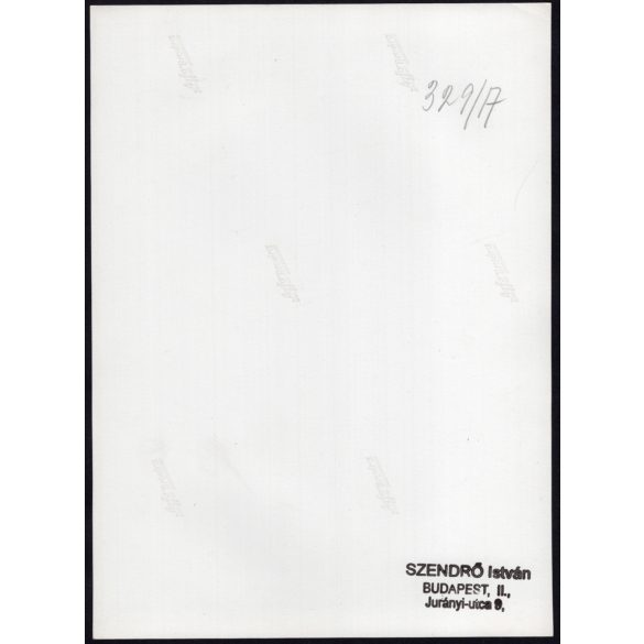 Nagyobb méret, Szendrő István fotóművészeti alkotása, csikós a lovával, állat, kalap, népviselet, 1930-as évek. Eredeti, pecséttel jelzett fotó, papírkép, Agfa Brovira papíron. 