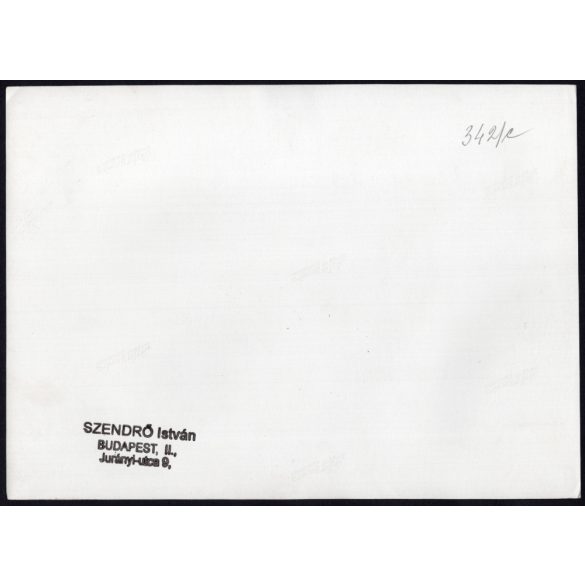 Nagyobb méret, Szendrő István fotóművészeti alkotása, páva és tollazata, állat, madár, 1930-as évek. Eredeti, pecséttel jelzett fotó, papírkép, Agfa Brovira papíron. 