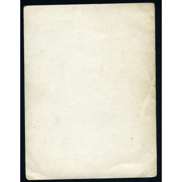 Eszperantó találkozó Magyarországon, eszperantó zászló, nemzetközi újságok, magazinok, eszperantó zászló, Horthy-korszak, tudomány, 1920-as évek, Eredeti fotó, papírkép. 