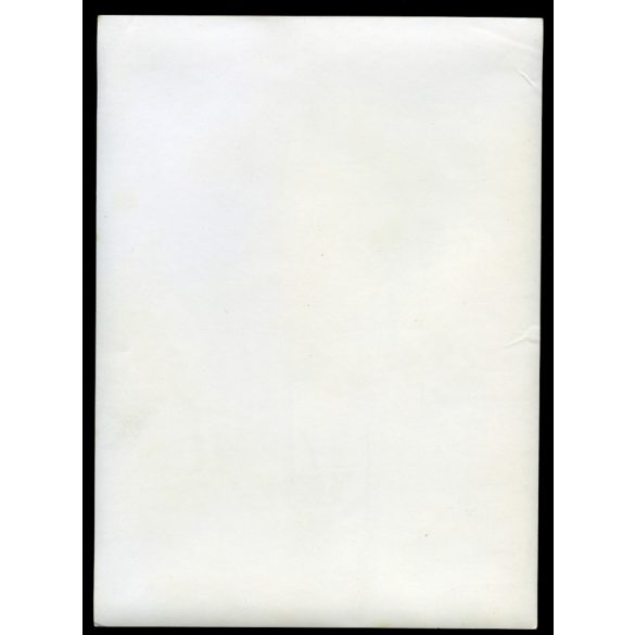 Nagyobb méret, magyar állami és pártvezetők Mercedes V 123 Pullman AH állami rendszámos autóval, jármű, közlekedés, szocializmus, 1980-as évek, Eredeti fotó, papírkép.   méret megközelítőleg (centimét