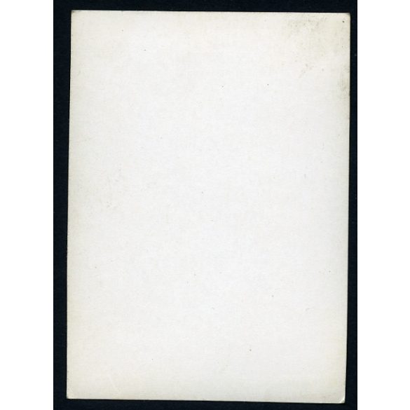 Magyar katonák magyar rendszámos Zündapp oldalkocsis motorkerékpárral, egyenruha, Magyar Néphadsereg, jármű, közlekedés, szocializmus, 1960-as évek, Eredeti fotó, papírkép.