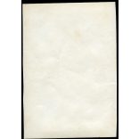 Sebesült félszemű katona piknikel az erdőben, magyar egyenruha, 1. világháború, monarchia, 1910-as évek, Eredeti fotó, papírkép.   