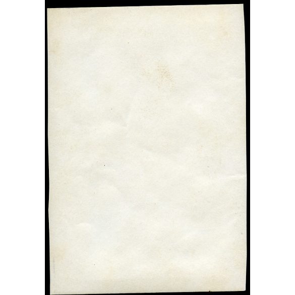 Sebesült félszemű katona piknikel az erdőben, magyar egyenruha, 1. világháború, monarchia, 1910-as évek, Eredeti fotó, papírkép.   