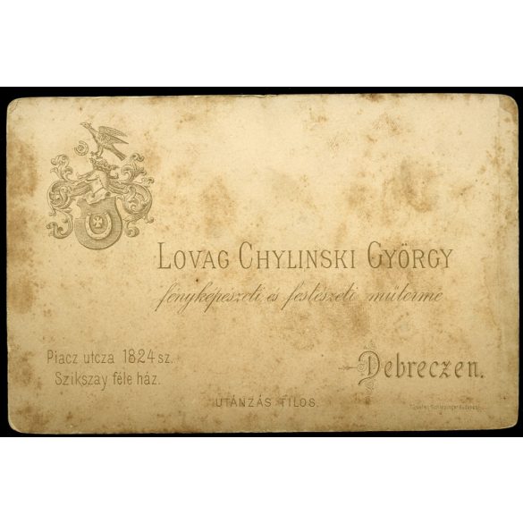 Lovag Chylinski műterem, Debrecen, gyerek portréja, testvér, család, monarchia, helytörténet, 1890-es évek, Eredeti  kabinetfotó. 