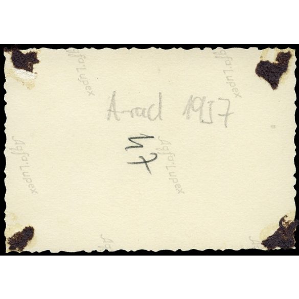 Elegáns nők napernyővel, modern ruhákban, kutyával, Arad, Erdély, utcakép, épület, Horthy-korszak, helytörténet, 1930-as évek, Eredeti fotó, papírkép, hátulján ragasztásnyomok.   