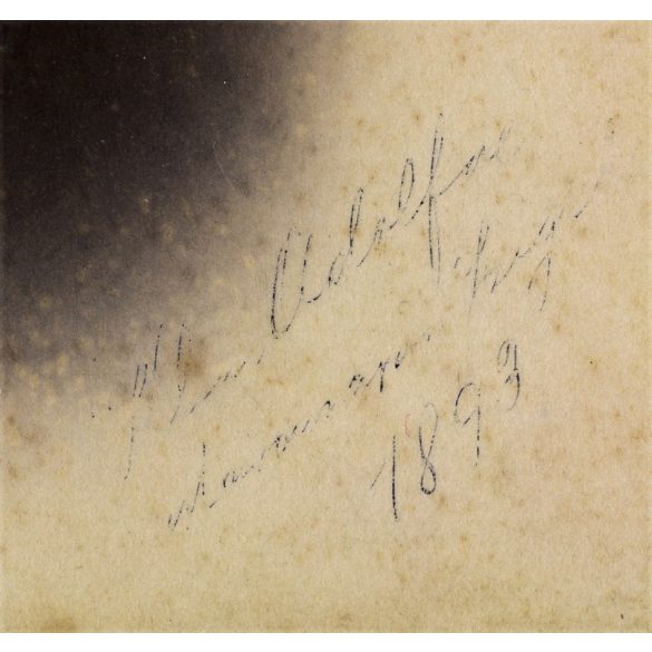 Ostapowicz (Osztapovics) műterem, Sziget-Máramaros (Máramarossziget), Erdély,  elegáns nő portréja, monarchia, 1890-es évek, Eredeti CDV, feliratozott vizitkártya fotó.  