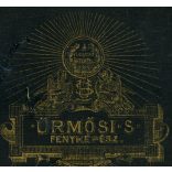 Ürmösi műterem, Nagybánya, Felvidék, elegáns nő gyönyörű ruhában, monarchia, helytörténet, 1880-as évek, Eredeti CDV, vizitkártya fotó, felülete kopott, hátulja sérült. 