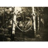 Cserkésztábor, Jamboree, Gödöllő, táborkapu az „Ezermesterek”-nél, Horthy-korszak, helytörténet, Pest megye, 1933., 1930-as évek, Eredeti fotó, papírkép.   méret megközelítőleg (centiméterben): 6 x 8.