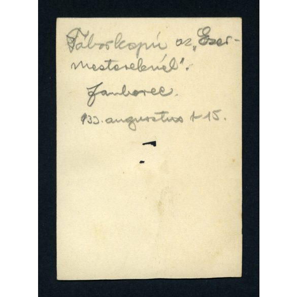 Cserkésztábor, Jamboree, Gödöllő, táborkapu az „Ezermesterek”-nél, Horthy-korszak, helytörténet, Pest megye, 1933., 1930-as évek, Eredeti fotó, papírkép.   méret megközelítőleg (centiméterben): 6 x 8.