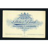 Bach műterem, Gyulafehérvár, Erdély,  elegáns nő portréja, monarchia, 1890-es évek, Eredeti CDV, vizitkártya fotó.   méret megközelítőleg (centiméterben): 6.8 x 10.8  Használt! Eredeti nagyítás! Nem r