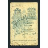 Braun György műterme, Budapest, elegáns nő nyaklánccal, medállal, ékszer, monarchia, 1890-es évek, Eredeti CDV, vizitkártya fotó, hátulja sérült. 
