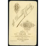 ifj. Divald Károly műterme, Igló és Tátrafüred, Felvidék, elegáns nő különös patkóval a nyakában, medál, portré, 1880-as évek, Eredeti CDV, vizitkártya fotó.   