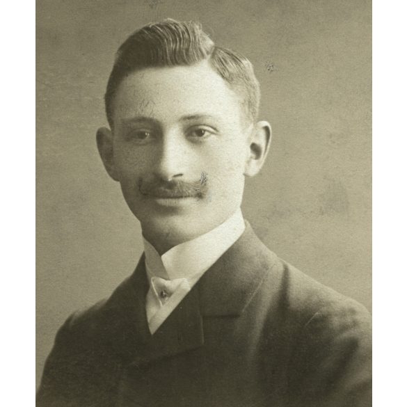 Stern Miksa és Fia műterme, Nyitra (Trencsén), Felvidék, elegáns  fiatal férfi bajusszal, monarchia, 1890-es évek, Eredeti CDV, vizitkártya fotó.   