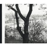 Lágymányosi tavasz, Budapest, Elegáns nők a Gellért-hegyen, Gellért Szálló, Duna, látkép, utcakép, város, Horthy-korszak, helytörténet, 1928., 1920-as évek, Eredeti jelzett képeslap-fotó, papírkép, há