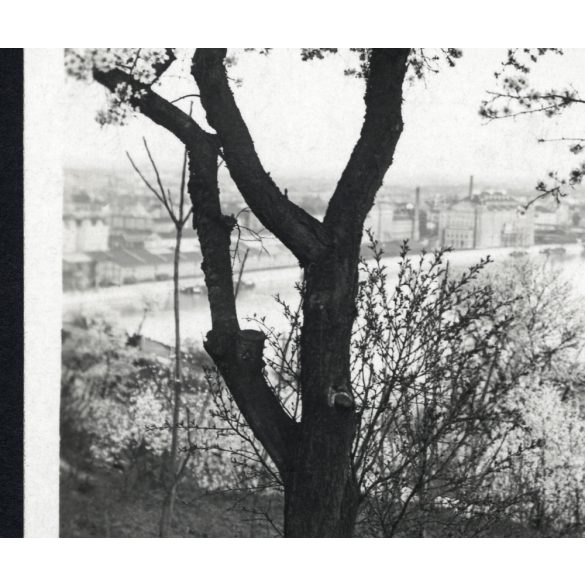 Lágymányosi tavasz, Budapest, Elegáns nők a Gellért-hegyen, Gellért Szálló, Duna, látkép, utcakép, város, Horthy-korszak, helytörténet, 1928., 1920-as évek, Eredeti jelzett képeslap-fotó, papírkép, há