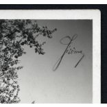 Lágymányosi tavasz, Budapest, Elegáns nők a Gellért-hegyen, Gellért Szálló, Duna, látkép, utcakép, város, Horthy-korszak, helytörténet, 1928., 1920-as évek, Eredeti jelzett képeslap-fotó, papírkép, há