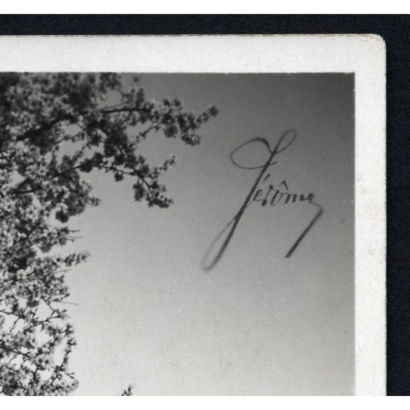 Lágymányosi tavasz, Budapest, Elegáns nők a Gellért-hegyen, Gellért Szálló, Duna, látkép, utcakép, város, Horthy-korszak, helytörténet, 1928., 1920-as évek, Eredeti jelzett képeslap-fotó, papírkép, há