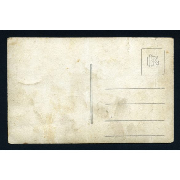 Heller Foto, Rákoshegy (Budapest), baráti társaság egy udvaron, kutya, macska, Horthy-korszak, helytörténet, 1920-as évek, Eredeti fotó, papírkép.