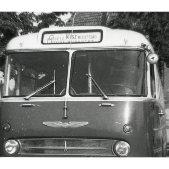Csinos lányok  Ikarus 66 autóbusz előtt, Veszprém, Ganz Mávag Kisz Bizottság felirat, jármű, közlekedés, szocializmus, helytörténet 1970, 1970-es évek. Eredeti fotó, hátulján feliratozott papírkép.  