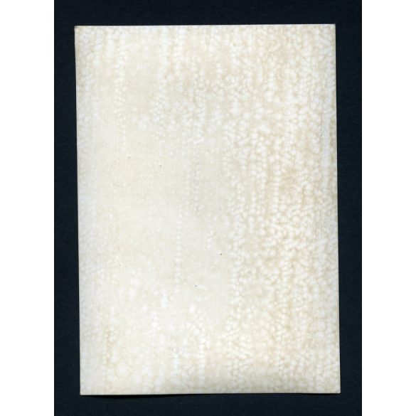 Ikarus 66, a legendás GF 100-as rendszámú korai "0 szériás" prototípus, autóbusz, magyar rendszám, 503-as próbarendszám, busz, jármű, közlekedés, 1950-es évek, Eredeti ritka fotó, papírkép. 