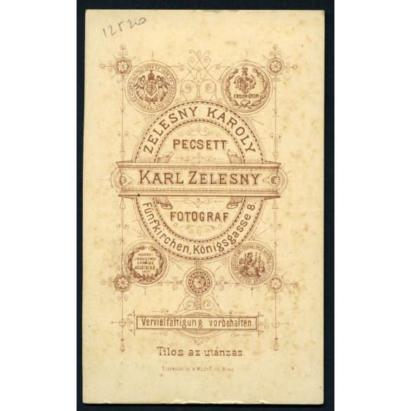 Zelesny műterem, Pécs, elegáns szakállas úr portréja, monarchia, Baranya megye, 1870-es évek, Eredeti CDV, vizitkártya fotó.  