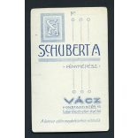 Schubert Auguszta műterme, Vác, egyházfi portréja, pap, katolikus, vallás, szemüveg, monarchia, Pest megye, 1900-as évek, Eredeti CDV, vizitkártya fotó. 