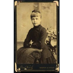  Divald Károly műterme, Budapest és Eperjes (Felvidék), elegáns fiatal lány gyönyörű ruhában, monarchia, 1880-as évek, Eredeti CDV, vizitkártya fotó, sarkai kopottak.   méret megközelítőleg (centiméter