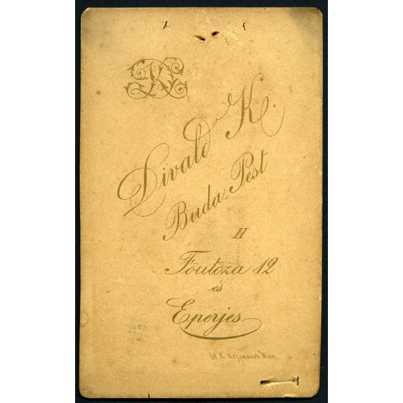 Divald Károly műterme, Budapest és Eperjes (Felvidék), elegáns fiatal lány gyönyörű ruhában, monarchia, 1880-as évek, Eredeti CDV, vizitkártya fotó, sarkai kopottak.   méret megközelítőleg (centiméter