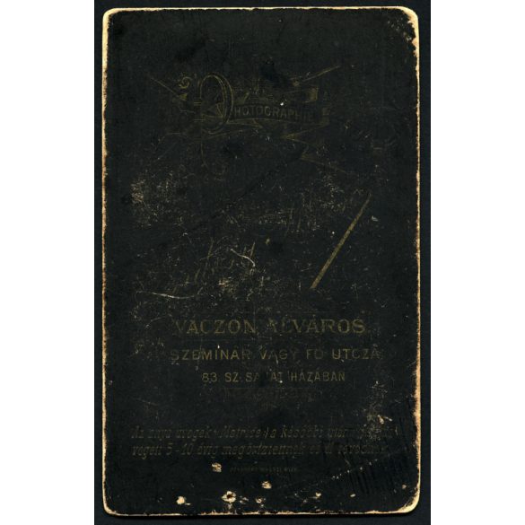 Erdősy Rezső műterme, Vác (Alváros) műterme, elegáns fiatal lány gyönyörű hajjal, Pest megye, monarchia, 1880-as évek, Eredeti CDV, vizitkártya fotó, sarkai kopottak.  