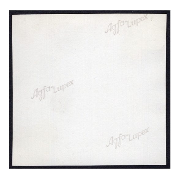 Urak a kertben, Alvinc, Erdély, almatárolás, mezőgazdaság, helytörténet, 1931., 1930-s évek, Eredeti fotó, papírkép.  