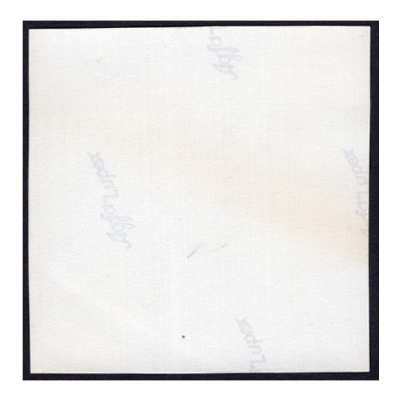 Almatárolás a kertben, Alvinc, Erdély, gyümölcs, alma, mezőgazdaság, helytörténet, 1931., 1930-s évek, Eredeti fotó, papírkép.