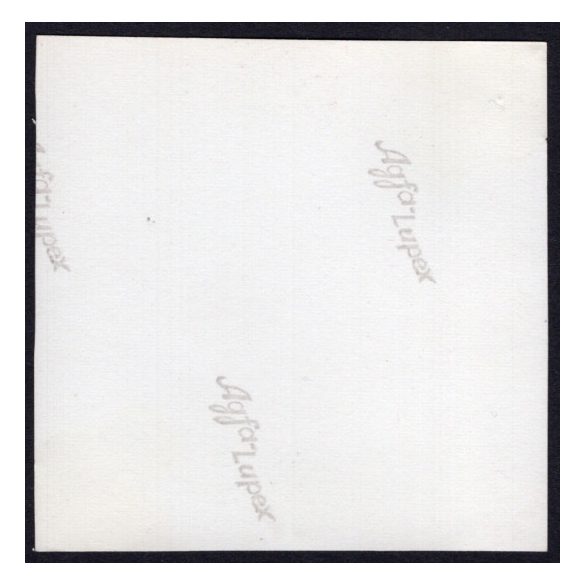 Almatárolás a kertben, Alvinc, Erdély, gyümölcs, alma, birtok, mezőgazdaság, helytörténet, 1931., 1930-s évek, Eredeti fotó, papírkép.