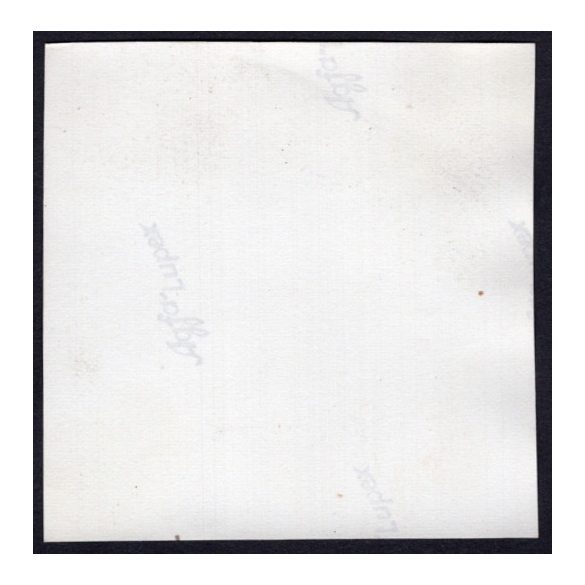 Kalapban az almatárolók között, Alvinc, Erdély, gyümölcs, alma, birtok, mezőgazdaság, helytörténet, 1931., 1930-s évek, Eredeti fotó, papírkép.   