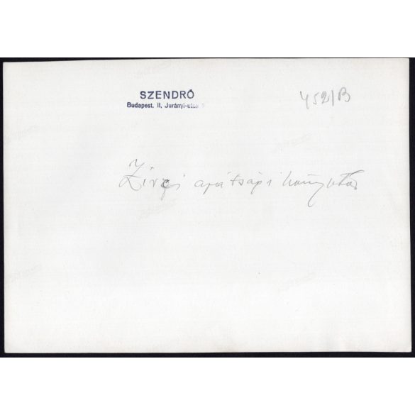 Nagyobb méret, Szendrő István fotóművészeti alkotása, a Zirci Ciszterci Apátság könyvtára, Zirc, Veszprém megye, 1930-as évek. Eredeti, pecséttel jelzett fotó, papírkép, Agfa Brovira papíron. 