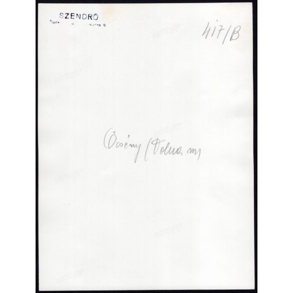 Nagyobb méret, Szendrő István fotóművészeti alkotása, házaspár népviseletben, Őcsény, Tolna megye, 1930-as évek. Eredeti, pecséttel jelzett fotó, papírkép, Agfa Brovira papíron. 