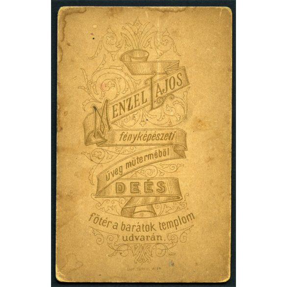 Menzel Lajos üveg műterme, Dés (Deés), Erdély,  elegáns karcsú nő gyönyörű hajjal, monarchia, 1880-as évek, Eredeti CDV, vizitkártya fotó.  