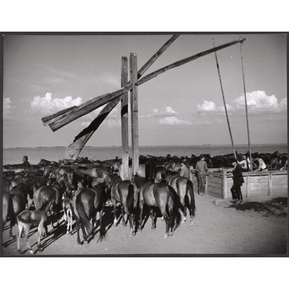 Nagyobb méret, Szendrő István fotóművészeti alkotása, lovak a gémeskút körül, Alföld, állatok, kút, 1930-as évek. Eredeti, pecséttel jelzett fotó, papírkép, Agfa Brovira papíron. 