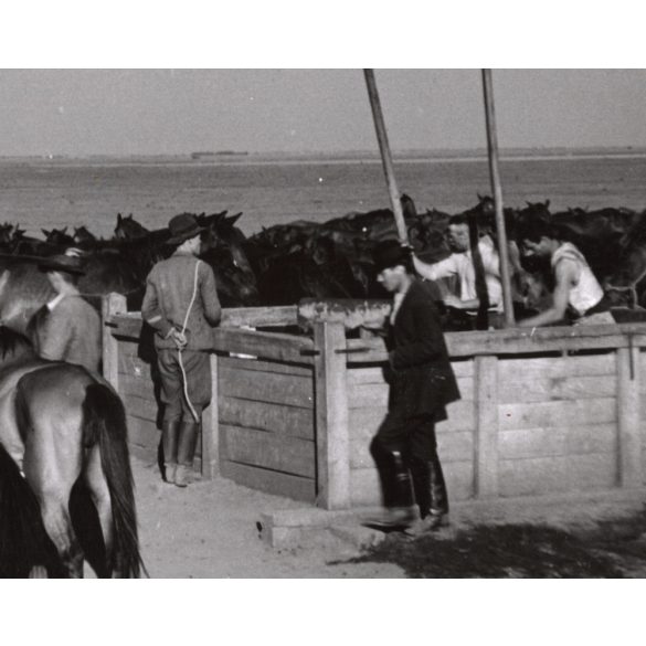 Nagyobb méret, Szendrő István fotóművészeti alkotása, lovak a gémeskút körül, Alföld, állatok, kút, 1930-as évek. Eredeti, pecséttel jelzett fotó, papírkép, Agfa Brovira papíron. 