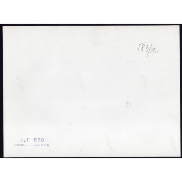 Nagyobb méret, Szendrő István fotóművészeti alkotása, lányok szüretelés közben, szőlő, kosár, kendő, 1930-as évek. Eredeti, pecséttel jelzett fotó, papírkép, Agfa Brovira papíron. 