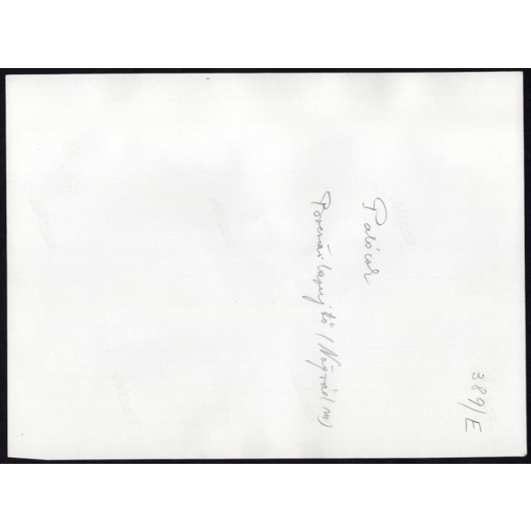 Nagyobb méret, Szendrő István fotóművészeti alkotása, Palóc lányok, karancslapujtői (Nógrád megye) népviseletben, Karancslapujtő, Bocsárlapujtő, 1930-as évek. 