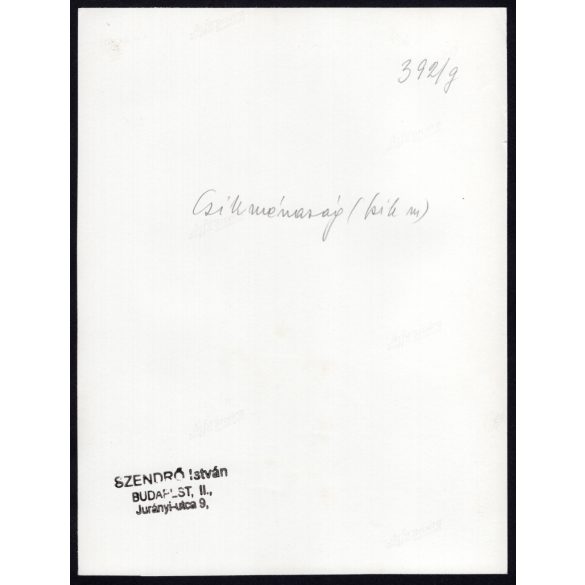 Nagyobb méret, Szendrő István fotóművészeti alkotása, fiatal pár Csíkménasági (Hargita megye) népviseletben, kalap, 1930-as évek. Eredeti, pecséttel jelzett fotó, papírkép, Agfa Brovira papíron. 