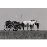 Nagyobb méret, Szendrő István fotóművészeti alkotása, csikós lóháton, lovasszekér, gémeskút, 1930-as évek. Eredeti, pecséttel jelzett fotó, papírkép, Agfa Brovira papíron. 