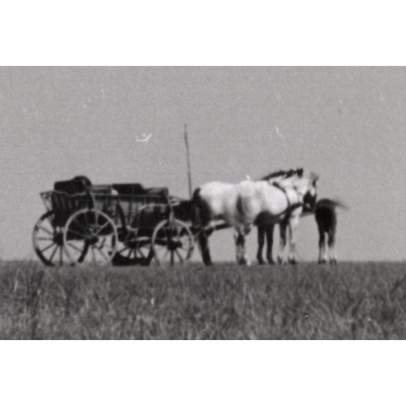 Nagyobb méret, Szendrő István fotóművészeti alkotása, csikós lóháton, lovasszekér, gémeskút, 1930-as évek. Eredeti, pecséttel jelzett fotó, papírkép, Agfa Brovira papíron. 