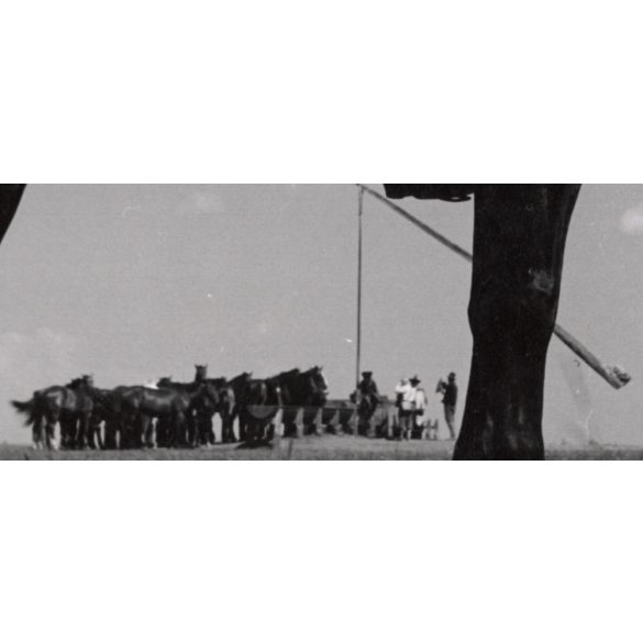 Nagyobb méret, Szendrő István fotóművészeti alkotása, csikós lóháton, lovasszekér, gémeskút, 1930-as évek. Eredeti, pecséttel jelzett fotó, papírkép, Agfa Brovira papíron. 