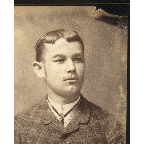 Alfred Adler műterme, Medgyes (Mediasch), Erdély, elegáns fiú portréja, monarchia, 1880-as évek, Eredeti CDV, vizitkártya fotó, a fotó jobb felső sarka hiányos. 