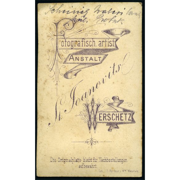 Joanovits műterem, Versec, Vajdaság, Bánság, elegáns nő portréja, nyaklánc, monarchia, 1870-es évek, Eredeti hátulján feliratozott CDV, vizitkártya fotó.  