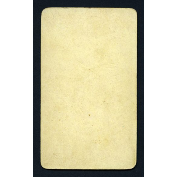 Veress Ferenc műterme, Kolozsvár, Erdély, elegáns bajuszos férfi portréja, 1890-es évek, Eredeti CDV, vizitkártya fotó. 