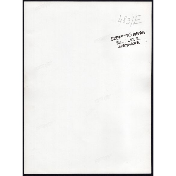 Nagyobb méret, Szendrő István fotóművészeti alkotása, Budapest, kis fahíd a Városligetben, háttérben a Közlekedési Múzeum, 1930-as évek. Eredeti, pecséttel jelzett fotó, papírkép, Agfa Brovira papíron